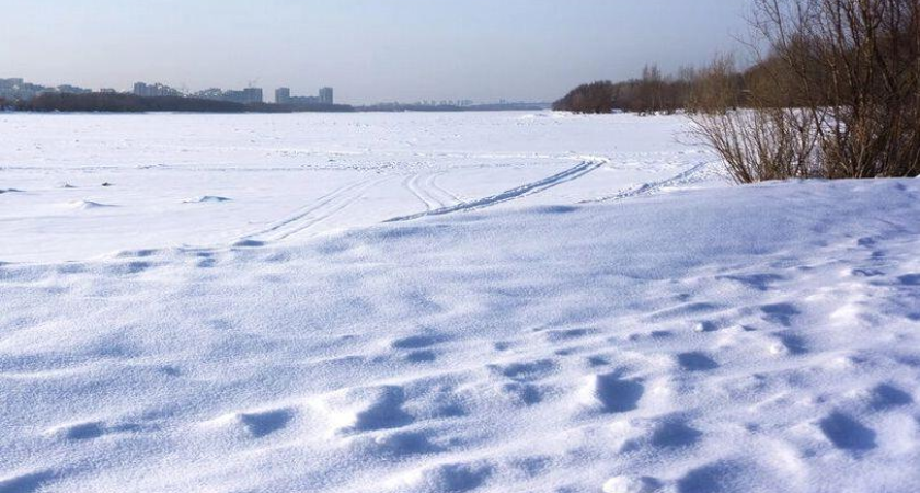 «Не повторится сценарий 2024»: донские фермеры объяснили, почему не боятся майских заморозков 2026 года