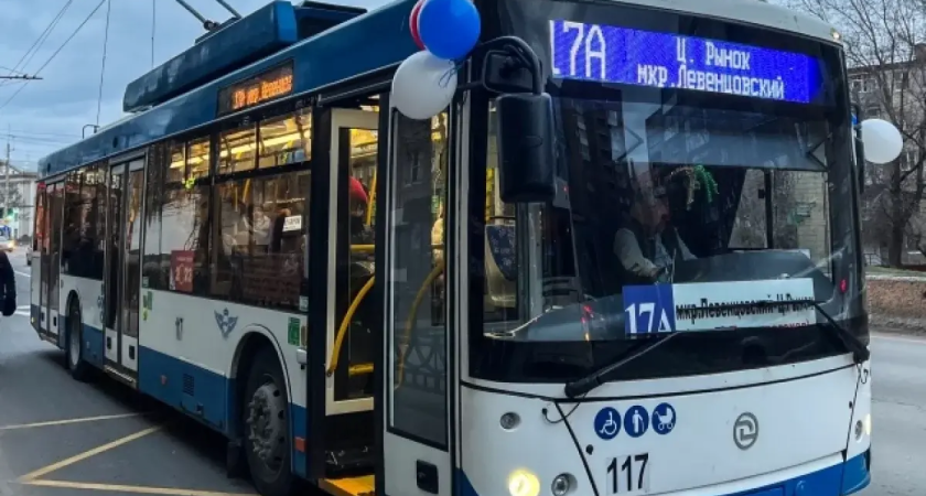 Ростов запросил финансирование на 24 новых троллейбуса взамен исчезающих с улиц машин