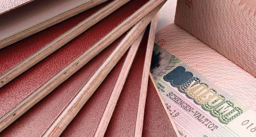 101,7 тысяч иностранцев прибыли в Ростовскую область: 62% приехали на заработки