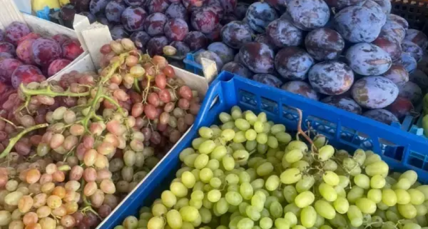 Удар по кошельку: ЦБ раскрыл, почему в Ростовской области взлетели цены на овощи, бензин и алкоголь