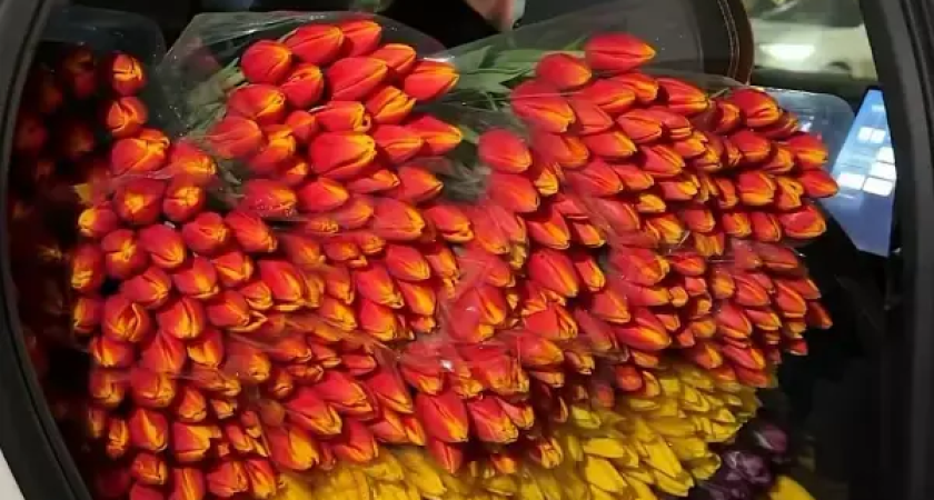 «Ростовский подгон»: каскадер раздает 3000 тюльпанов мужчинам для их возлюбленных на Пушкинской