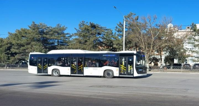 15 новых автобусов «НЕФАЗ» выставят на аукцион 13 марта: Новочеркасск ищет нового перевозчика