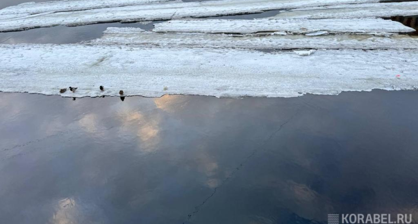 Ростовские ученые впервые составили карты ледовой угрозы Азовского моря