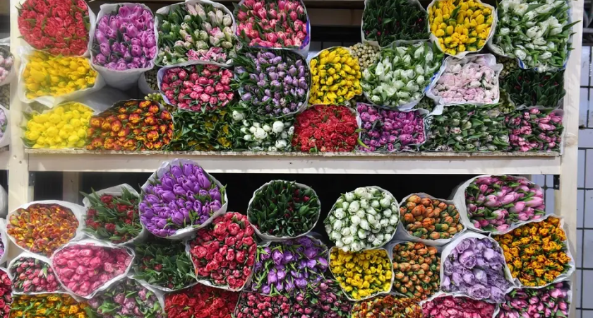 Армения резко сократила поставки цветов в Ростовскую область