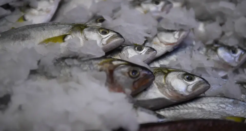 Сливочное масло за 1088 рублей: новые цены в Ростовской области