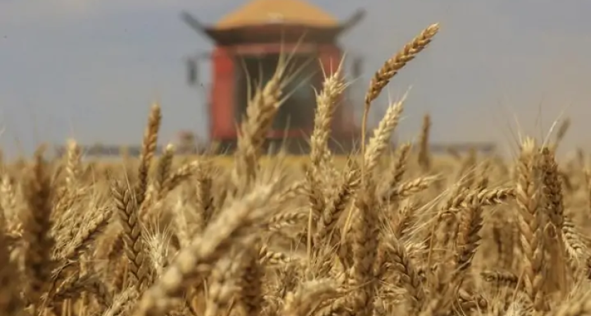 «Родные поля» требуют вернуть 24 млрд с экс-владельца через суд