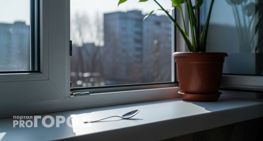 Простая ложка на подоконнике заменила мне дорогую сигнализацию и охранную систему