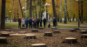 В Ростове деревья после вырубки теперь высадят там, где решит департамент ЖКХ