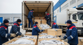 8 тонн в Сербию, 3,5 — в Абхазию: Ростовская область за неделю отгрузила рыбу на экспорт