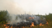 14 пожаров за сутки в Оренбуржье: выгорело 12 гектаров, девять возгораний — техногенные