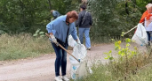 7000 добровольцев за полгода вывезли мусор с берегов Дона, Миуса и еще 5 рек региона
