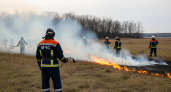 50 контролируемых палов за сутки: МЧС готовит Ростовскую область к пожароопасному сезону-2026
