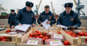 20 тонн гнилых томатов из Турции с польскими этикетками: прокуратура взялась за таможню Таганрога