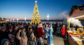 «Ёлочка, гори!»: ростовчане зажгли главную ёлку-шишку под крики Деда Мороза
