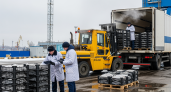 40 тонн мороженой рыбы из Таганрога отправились в Азербайджан после ветконтроля