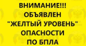 1 января Ростовскую область объявили в боевой готовности: дроны у границ