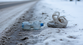 Опасная ловушка: почему под колеса авто подкладывают пластиковые бутылки и как правильно реагировать — важно знать каждому водителю
