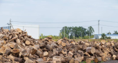 Предприниматель попал в черный список из-за отказа от контрактов на дрова на 35 млн рублей