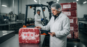 Скрытый импорт из Поднебесной: куда пропадает загадочное китайское мясо, которое везут в Россию вместо свинины