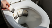 Домработница раскрыла секрет чистого туалета на все дни отпуска — простой трюк с чайным пакетиком перед уходом