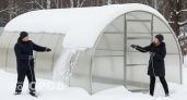 Проверенный годами способ убрать снег с теплицы без лопаты работает даже в сильные морозы