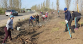 На Дону стартует месячник чистоты с усиленными проверками
