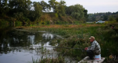 Полтора месяца без судака и тарани: весенний запрет накрыл Ростовскую область