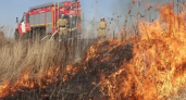 103 плановых поджога за один день: МЧС готовит масштабную операцию