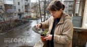 Подсыпаю щепотку этого порошка под каждый куст томатов — они прут в рост и завязей столько что ветки трещат