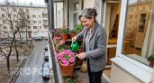 Пять обычных цветов на вашем балконе могут обернуться штрафом до 2 500 рублей — проверьте себя прямо сейчас