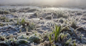 Заморозки до -3°C в Ростовской области грозят цветущим садам 11–12 апреля
