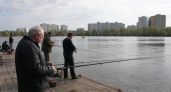 Рыбаки заняли понтонный мост на Зелёном острове в первый день работы