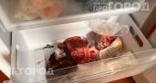 Вы рискуете здоровьем: проверьте сроки хранения мяса в своей морозилке по нашему простому чек-листу