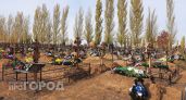 Неизвестные разгромили надгробия бойцов СВО в Ростовской области