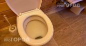 Перестаньте смывать воду с открытой крышкой: вы даже не представляете какие бактерии оседают на щетках