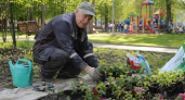 Арендатор парка Плевен оспаривает расторжение договора через апелляцию