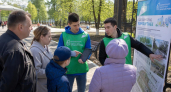 5000 волонтёров собрали 123 тысячи голосов за благоустройство городов Дона