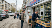 Производство пива в Ростовской области упало на 15,8% при росте числа пивоварен