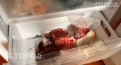 Вы зря переводите продукты: 5 привычных вещей, которые превращаются в мусор после вашей морозилки