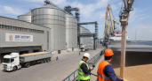 Ростовская область экспортировала почти 5 млн т зерна — на треть больше прошлогоднего