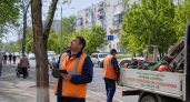 Дерево рухнуло на проспект Ленина в Ростове: пострадавших нет