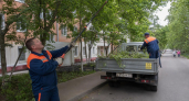 В Ростове из-за ливней и ветра до 25 м/с убирают упавшие деревья