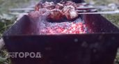 Больше не выбрасывайте этот кухонный отход: добавьте его в маринад и мясо станет мягче любого деликатеса