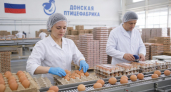 Ростовская область нарастила производство яиц на треть — до 353 млн штук