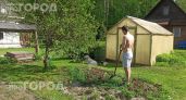 Проведите простой тест с полотенцем на даче прямо сейчас: всего пять минут и вы точно узнаете об угрозе клещей