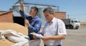 В Ростовской области выявили 115 деклараций на зерно с нарушениями — почти 173 тыс. т