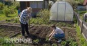 Золотой стандарт советского огородничества: почему власти строго ограничивали размер дачных участков