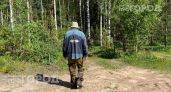 Мошка прокусывает даже плотную ткань: аптечный копеечный флакон защитит от укусов лучше любого спрея