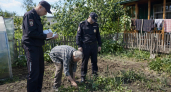 87 кустов конопли нашли у жителя Волгодонского района