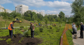 Парк на месте главной свалки Ростова откроют только через 18 лет